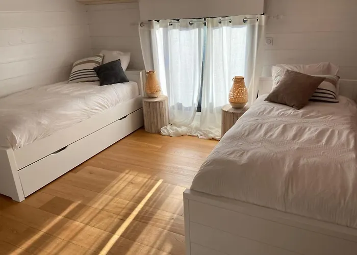 Sumptuous Cap Ferret Style House