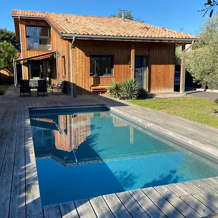 Sumptuous Cap Ferret Style House
