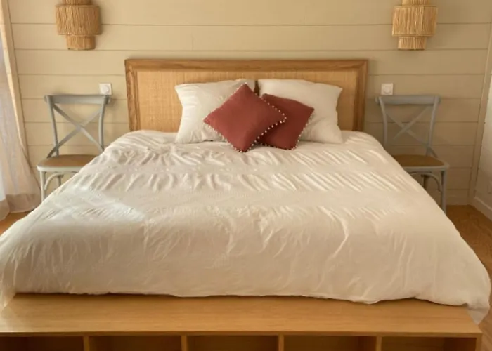 Sumptuous Cap Ferret Style House Feriehus